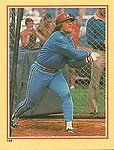 1984 Fleer - Sticker 119.jpg