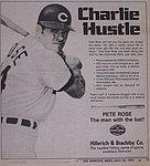 1974 Hillerich and Bradsby - Louisville Slugger Ad.jpg
