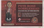 2016 Cincinnati Reds - Reds HOF Bobble Head Advertisement Reds Report Jun.jpg