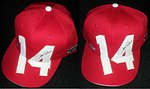 Hat - 2013 Cincinnati Reds - Reds HOF Signature Series.jpg