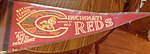 1973 Cincinnati Reds - Pennant - Western Division National League Champions.jpg