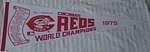 1975 Cincinnati Reds - Pennant - 1975 World Champions - Var 4.jpg