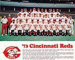 1973 Cincinnati Reds - Team Picture SGA.jpg
