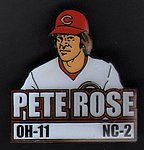 2015 Little League Baseball - Ohio District 11 Pin.jpg