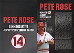 2016 Cincinnati Reds - Commemorative Jersey Retirement Patch.jpg