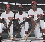 2016 Cincinnati Reds - Reds HOF Mouse Pad Bench Morgan.jpg