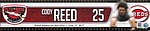 2017 Cincinnati Reds - Statue Dedication Game Used Locker Tag.jpg
