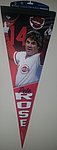 2017 WinCraft Collection - Statue Dedication Collector Player Pennant.jpg