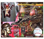 2017 Cincinnati Reds - Hall of Fame Statue Print.jpg