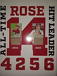 Heroes of Yesterday Gallery 2023 - Rose 4256 Matches Display 1.jpg