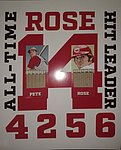 Heroes of Yesterday Gallery 2023 - Rose 4256 Matches Display 2.jpg