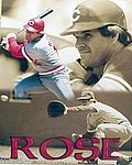 Photo File - Rose Poster.jpg
