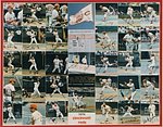 Schildman WF 1996 - 76 Cincinnati Reds.jpg