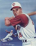 Simon Robert Stephen 1985 - Print - Rose Rookie -63.jpg