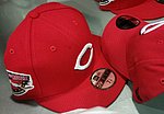 Hat - 2017 New Era - Statue Dedication.jpg