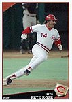 2009 Custom Topps.jpg