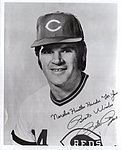 1975 Norelco - Promo Picture.jpg