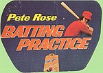 1979 Turco - Batting Practice Display.jpg