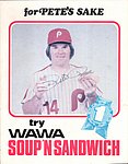1979 WaWa Convenience Stores - Store Sign - for Petes Sake try WaWa Soup n Sandwich.jpg