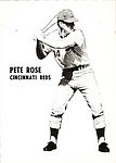 1980 Unknown - Partridge Card Reprint.jpg