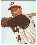 1995 JSW Collector - White Border 50 Bowman.jpg
