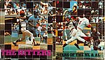 1976 Thomas Braun - The Hitters Stars of the NL and AL.jpg