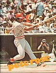 1977 James P Smith - Pete Rose Softcover.jpg
