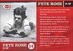 2017 Cincinnati Reds - Reds HOF Membership Booklet Insert Card.jpg