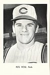 1963 Cincinnati Reds - Picture Pack Photo.jpg