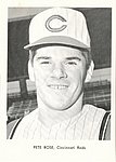 1964 Cincinnati Reds - Picture Pack Photo.jpg