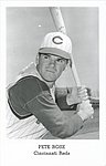1966 Cincinnati Reds - Photo Postcard.jpg