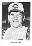 1966 Cincinnati Reds - Picture Pack Photo.jpg