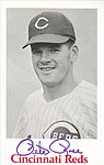 1967 Cincinnati Reds - Photo Card.jpg