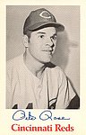 1968 Cincinnati Reds - Photo Card.jpg