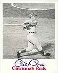 1969 Cincinnati Reds - Photo Card - Batting.jpg