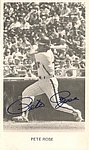 1981 Philadelphia Phillies - Photo Card.jpg