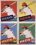 1985 Cincinnati Art Museum - Photo Card - Andy Warhols Pete Rose.jpg