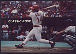 1985 Mr Zs Corp - Photo Card - Classic Rose.jpg
