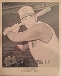 1963 Cincinnati Reds - Team Glossy Photo.jpg