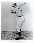 1968 Cincinnati Reds - Glossy Photo - Var 1.jpg