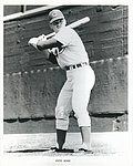 1968 Cincinnati Reds - Glossy Photo - Var 2.jpg