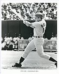 1968 Cincinnati Reds - Glossy Photo.jpg