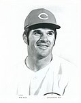 1971 Cincinnati Reds - Glossy Photo.jpg