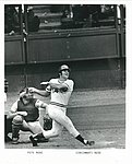 1972 Cincinnati Reds - Glossy Photo.jpg