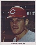 1974 Cincinnati Reds - Color Photo.jpg