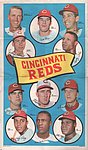 1969 Topps - Team Poster - Cincinnati Reds 20.jpg