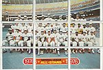 1977 Topps - Cloth Puzzle - Group of 9 Cards.jpg