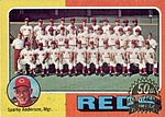 2024 Topps - Heritage 1975 Buyback Reds Team 531.jpg