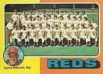 1975 Topps - Card - Reds Team 531.jpg