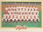 1978 Topps - Card - Reds Team 526.jpg